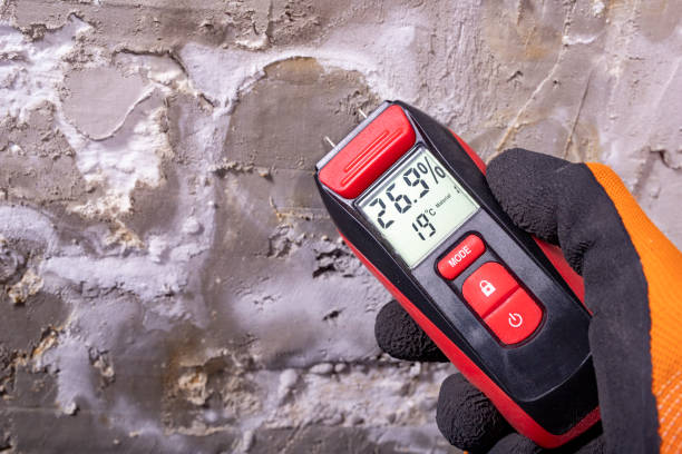 Best Commercial Mold Removal  in Warrington, FL
